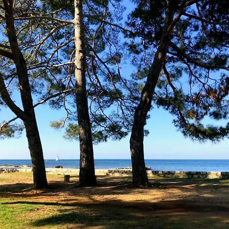 Mirko By Interhome Apartman Umag